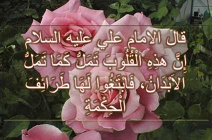 اضغط على الصورة لعرض أكبر.   الإسم:	image_13370.jpg  مشاهدات:	1  الحجم:	24.9 كيلوبايت  الهوية:	852134