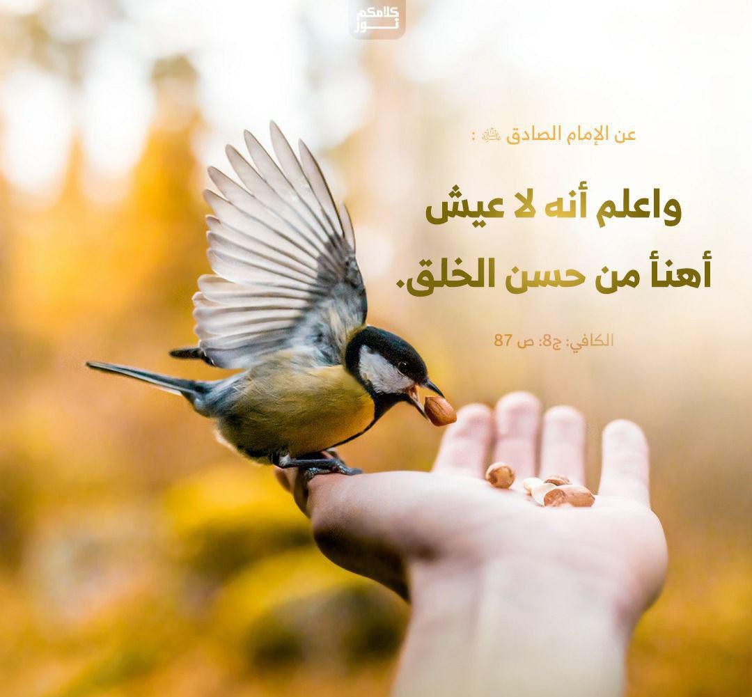 اضغط على الصورة لعرض أكبر. 

الإسم:	photo_2021-11-06_11-31-25.jpg 
مشاهدات:	1449 
الحجم:	109.8 كيلوبايت 
الهوية:	928692