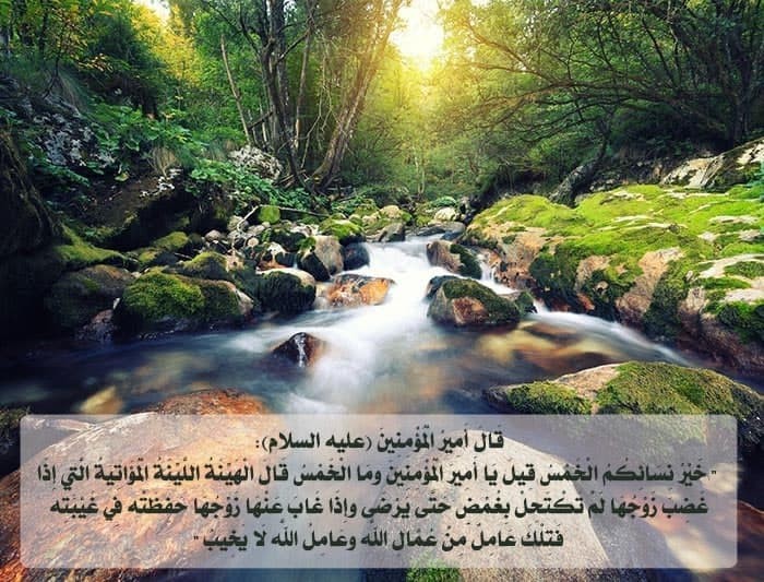 اضغط على الصورة لعرض أكبر. 

الإسم:	photo_2021-11-28_10-17-54.jpg 
مشاهدات:	357 
الحجم:	127.6 كيلوبايت 
الهوية:	930049