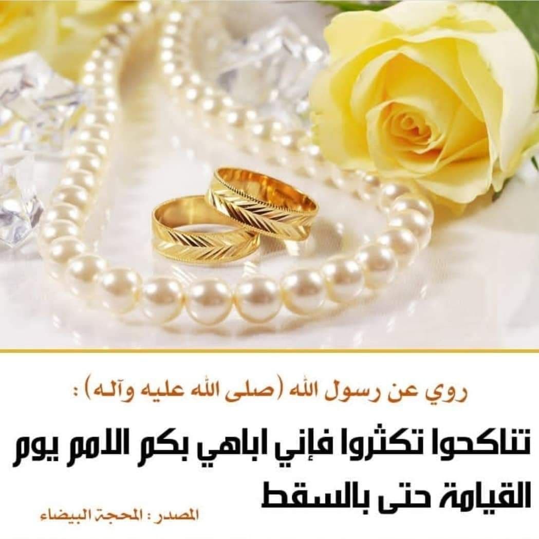 اضغط على الصورة لعرض أكبر. 

الإسم:	photo_٢٠٢١-١١-٣٠_١٣-٤٨-٤٥.jpg 
مشاهدات:	360 
الحجم:	107.7 كيلوبايت 
الهوية:	930291
