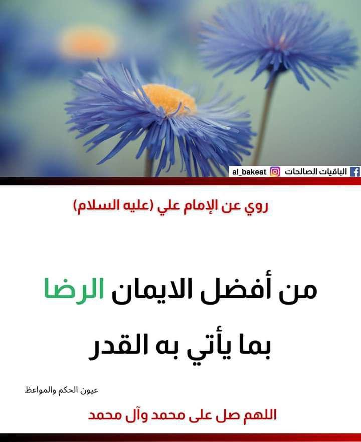 اضغط على الصورة لعرض أكبر. 

الإسم:	photo_2021-09-13_05-36-49.jpg 
مشاهدات:	271 
الحجم:	65.4 كيلوبايت 
الهوية:	930379