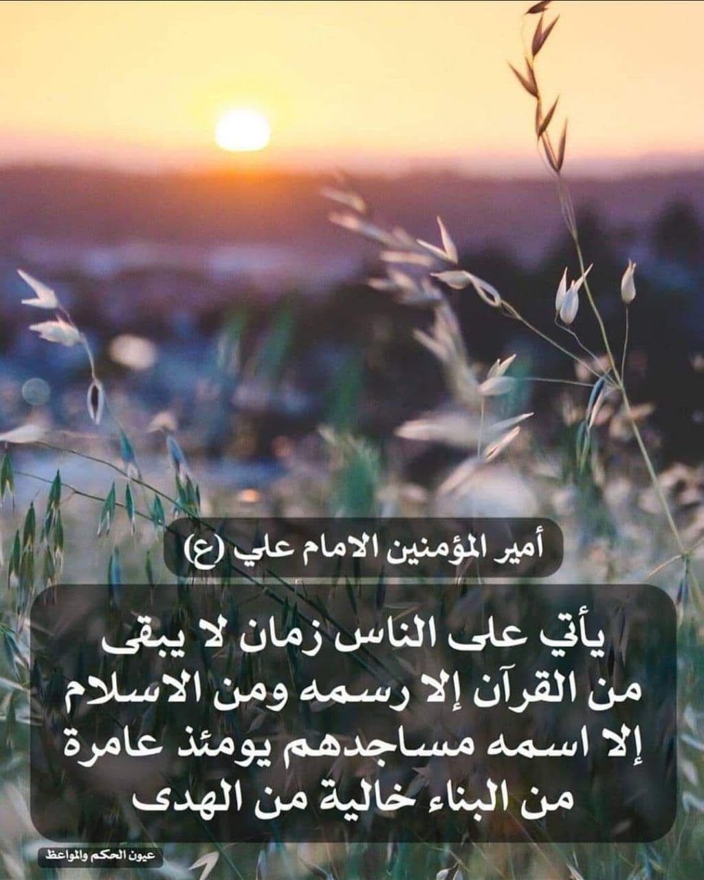 اضغط على الصورة لعرض أكبر. 

الإسم:	photo_2021-12-08_10-48-54.jpg 
مشاهدات:	919 
الحجم:	164.4 كيلوبايت 
الهوية:	930915