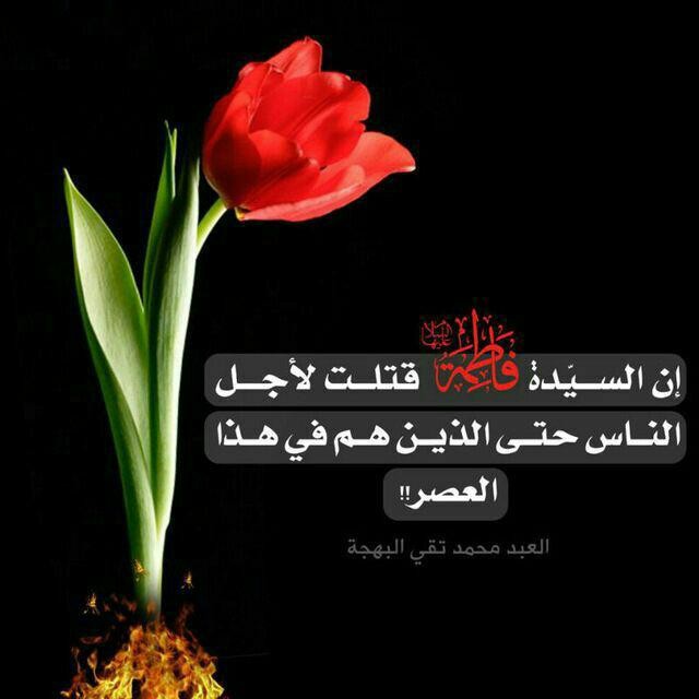 اضغط على الصورة لعرض أكبر. 

الإسم:	photo_2017-03-12_13-28-48.jpg 
مشاهدات:	355 
الحجم:	46.3 كيلوبايت 
الهوية:	931549