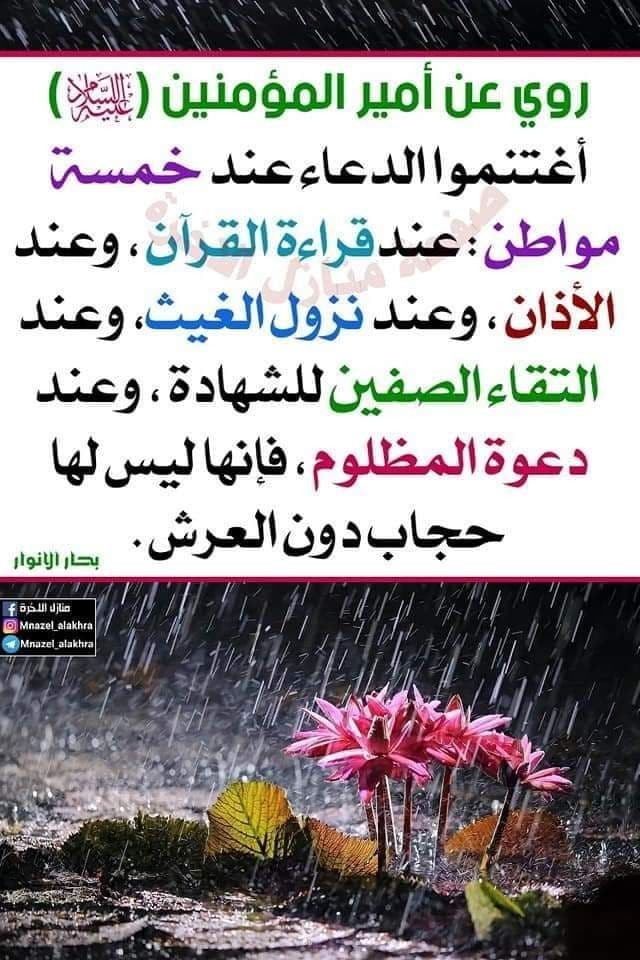 اضغط على الصورة لعرض أكبر. 

الإسم:	photo_٢٠٢٢-٠١-٠٤_١٤-٢٥-٣٥ (2).jpg 
مشاهدات:	345 
الحجم:	148.3 كيلوبايت 
الهوية:	933087