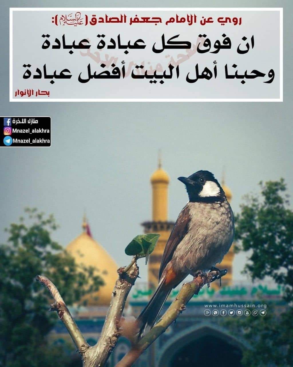 اضغط على الصورة لعرض أكبر. 

الإسم:	52599351_1035023600016143_6662008091623555072_n.jpg 
مشاهدات:	206 
الحجم:	148.6 كيلوبايت 
الهوية:	933554