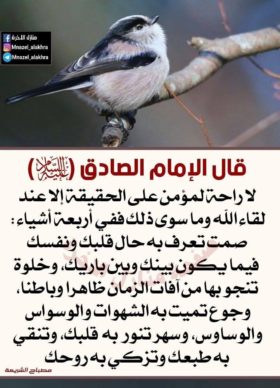 اضغط على الصورة لعرض أكبر. 

الإسم:	51177142_1022368257948344_7919283299929817088_n.jpg 
مشاهدات:	353 
الحجم:	207.7 كيلوبايت 
الهوية:	933629