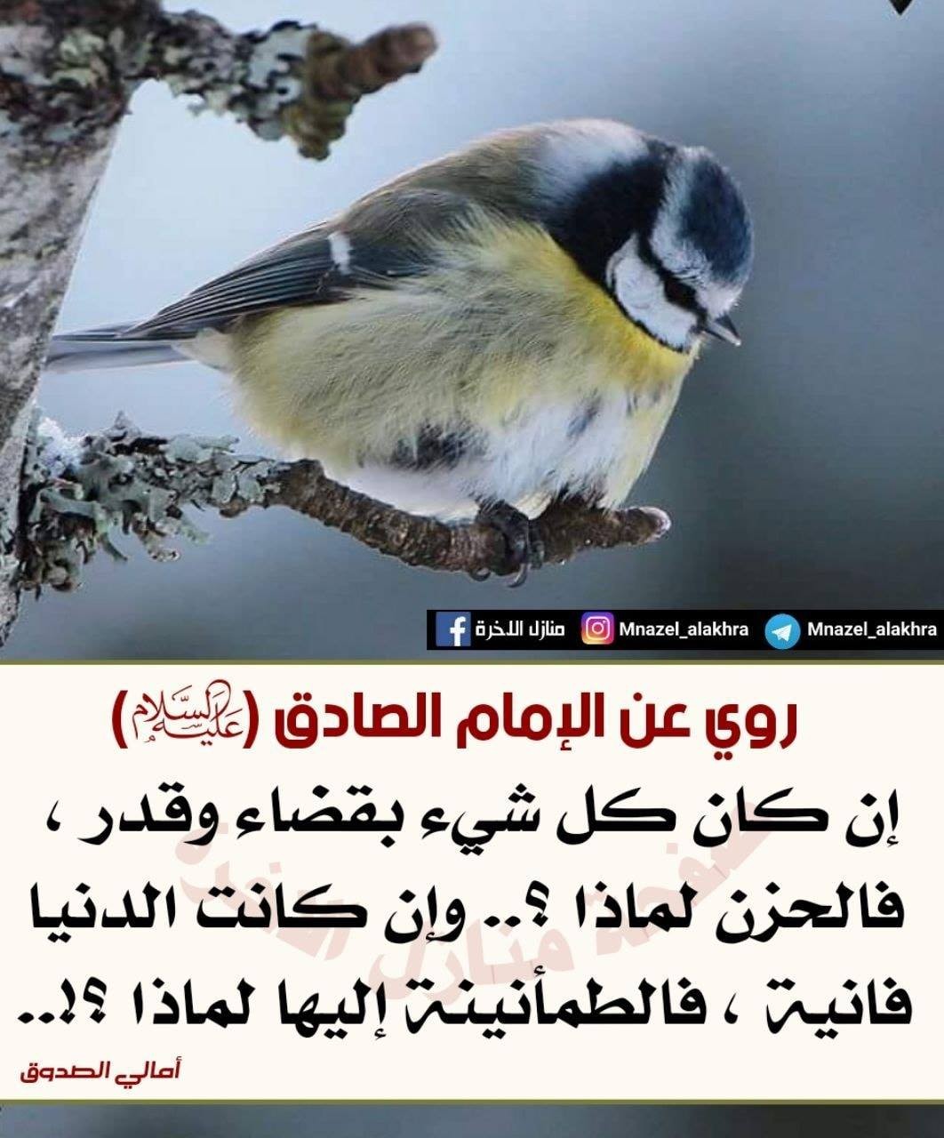 اضغط على الصورة لعرض أكبر. 

الإسم:	65283219_1115386941979808_9109382303443845120_n.jpg 
مشاهدات:	278 
الحجم:	193.9 كيلوبايت 
الهوية:	933632