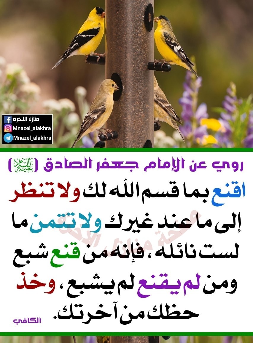 اضغط على الصورة لعرض أكبر. 

الإسم:	188198742_1660436090808221_5366946023225615511_n.jpg 
مشاهدات:	258 
الحجم:	198.7 كيلوبايت 
الهوية:	933731