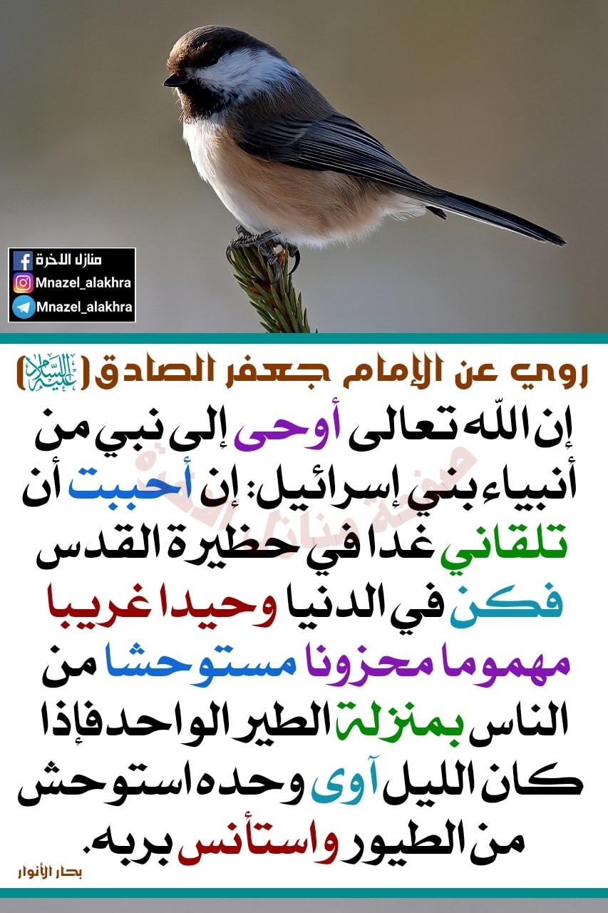 اضغط على الصورة لعرض أكبر. 

الإسم:	191794371_1667779203407243_3222787135360753109_n.jpg 
مشاهدات:	319 
الحجم:	208.6 كيلوبايت 
الهوية:	933733