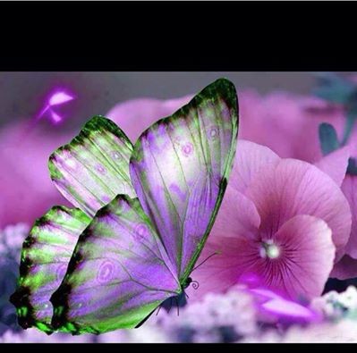 اضغط على الصورة لعرض أكبر. 

الإسم:	10686693_717229798360223_1692726043569095497_n.jpg 
مشاهدات:	254 
الحجم:	38.1 كيلوبايت 
الهوية:	934483