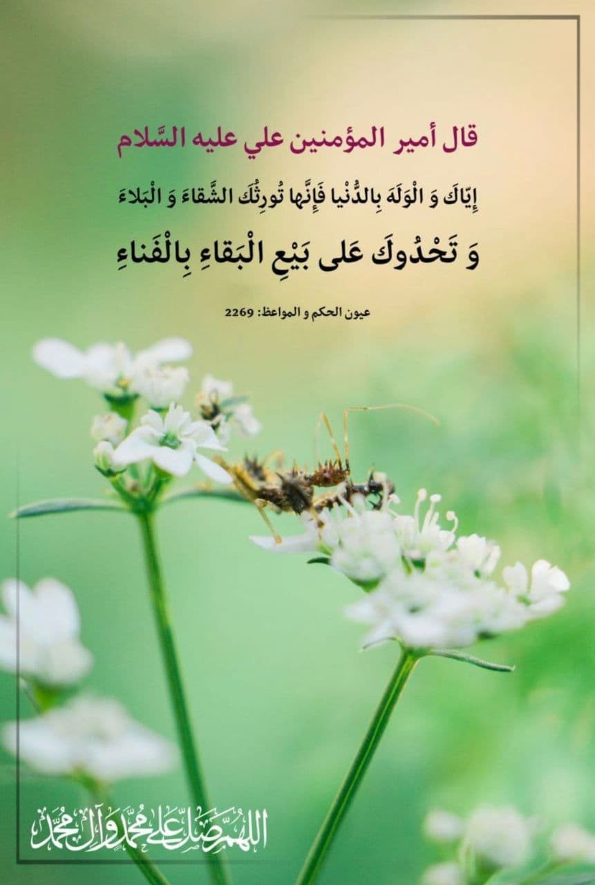 اضغط على الصورة لعرض أكبر. 

الإسم:	photo_٢٠٢٢-٠١-٢٤_٠٧-٣١-٣٩.jpg 
مشاهدات:	425 
الحجم:	99.5 كيلوبايت 
الهوية:	934807