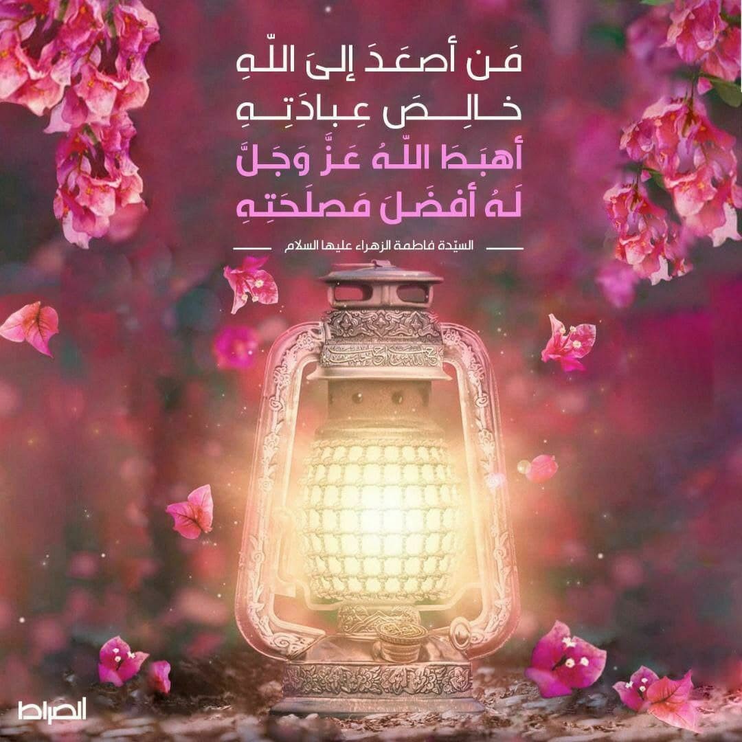 اضغط على الصورة لعرض أكبر. 

الإسم:	photo_2022-01-24_08-08-58.jpg 
مشاهدات:	416 
الحجم:	184.4 كيلوبايت 
الهوية:	934811
