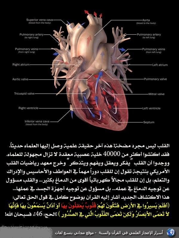 اضغط على الصورة لعرض أكبر. 

الإسم:	2b757f39f311b259f9bd8fa57355b3d1.jpg 
مشاهدات:	1 
الحجم:	76.9 كيلوبايت 
الهوية:	852863