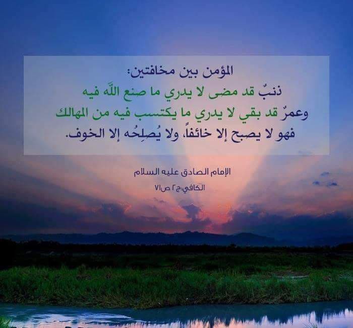 اضغط على الصورة لعرض أكبر. 

الإسم:	photo_2022-02-01_12-54-26.jpg 
مشاهدات:	359 
الحجم:	57.1 كيلوبايت 
الهوية:	935477