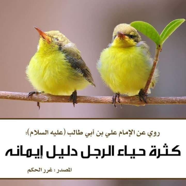 اضغط على الصورة لعرض أكبر. 

الإسم:	photo_2022-02-02_16-21-01.jpg 
مشاهدات:	244 
الحجم:	56.4 كيلوبايت 
الهوية:	935579