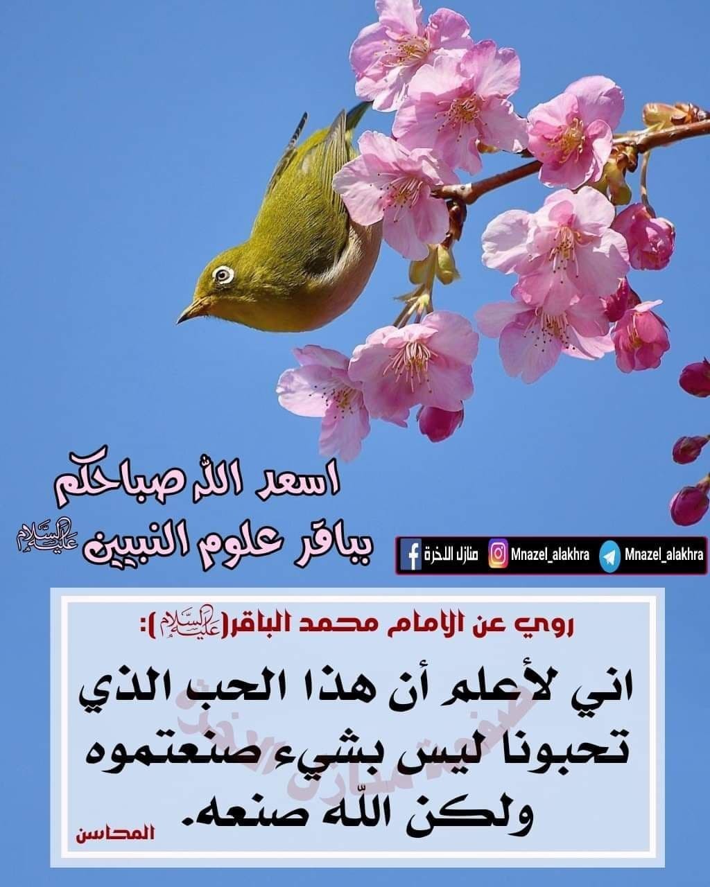 اضغط على الصورة لعرض أكبر. 

الإسم:	photo_٢٠٢٢-٠٢-٠٣_٠٨-٢٧-٥٦.jpg 
مشاهدات:	258 
الحجم:	170.0 كيلوبايت 
الهوية:	935668