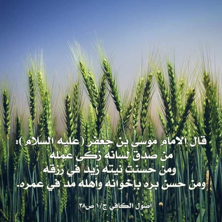 اضغط على الصورة لعرض أكبر. 

الإسم:	photo_2022-02-05_07-17-17.jpg 
مشاهدات:	310 
الحجم:	118.7 كيلوبايت 
الهوية:	935941