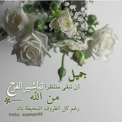 اضغط على الصورة لعرض أكبر. 

الإسم:	10620676_1536193563266296_4935992705927651845_n[1].jpg 
مشاهدات:	266 
الحجم:	31.5 كيلوبايت 
الهوية:	936400