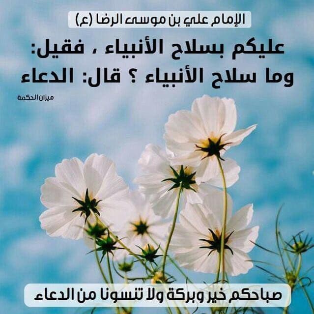 اضغط على الصورة لعرض أكبر. 

الإسم:	photo_2022-03-02_10-26-02.jpg 
مشاهدات:	376 
الحجم:	77.7 كيلوبايت 
الهوية:	937876