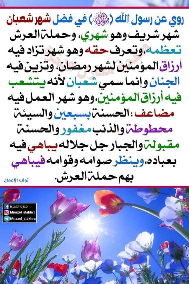اضغط على الصورة لعرض أكبر. 

الإسم:	photo_٢٠٢٢-٠٣-٠٦_٠٥-٠٦-٥٨.jpg 
مشاهدات:	468 
الحجم:	134.8 كيلوبايت 
الهوية:	938320