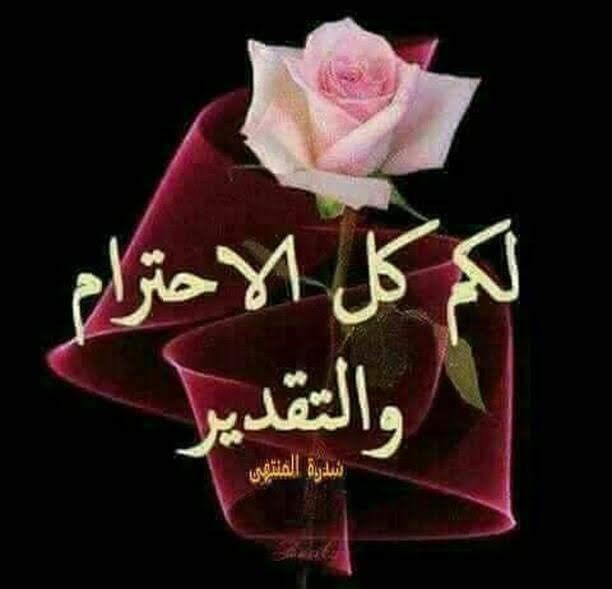 اضغط على الصورة لعرض أكبر. 

الإسم:	photo_٢٠٢٢-٠٣-٢٣_١٠-٠٠-٢٥.jpg 
مشاهدات:	663 
الحجم:	42.4 كيلوبايت 
الهوية:	940688