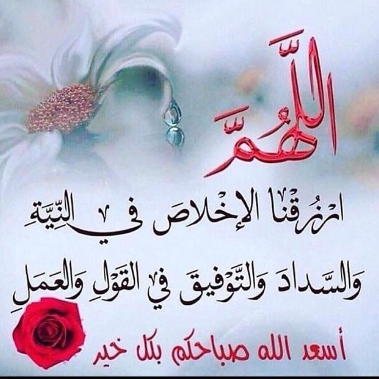 اضغط على الصورة لعرض أكبر. 

الإسم:	photo_٢٠٢٢-٠٣-٢٣_١٠-٠٠-٢٥ (4).jpg 
مشاهدات:	311 
الحجم:	96.7 كيلوبايت 
الهوية:	940690