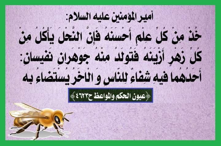 اضغط على الصورة لعرض أكبر. 

الإسم:	photo_2022-04-10_13-31-09.jpg 
مشاهدات:	352 
الحجم:	85.7 كيلوبايت 
الهوية:	942699