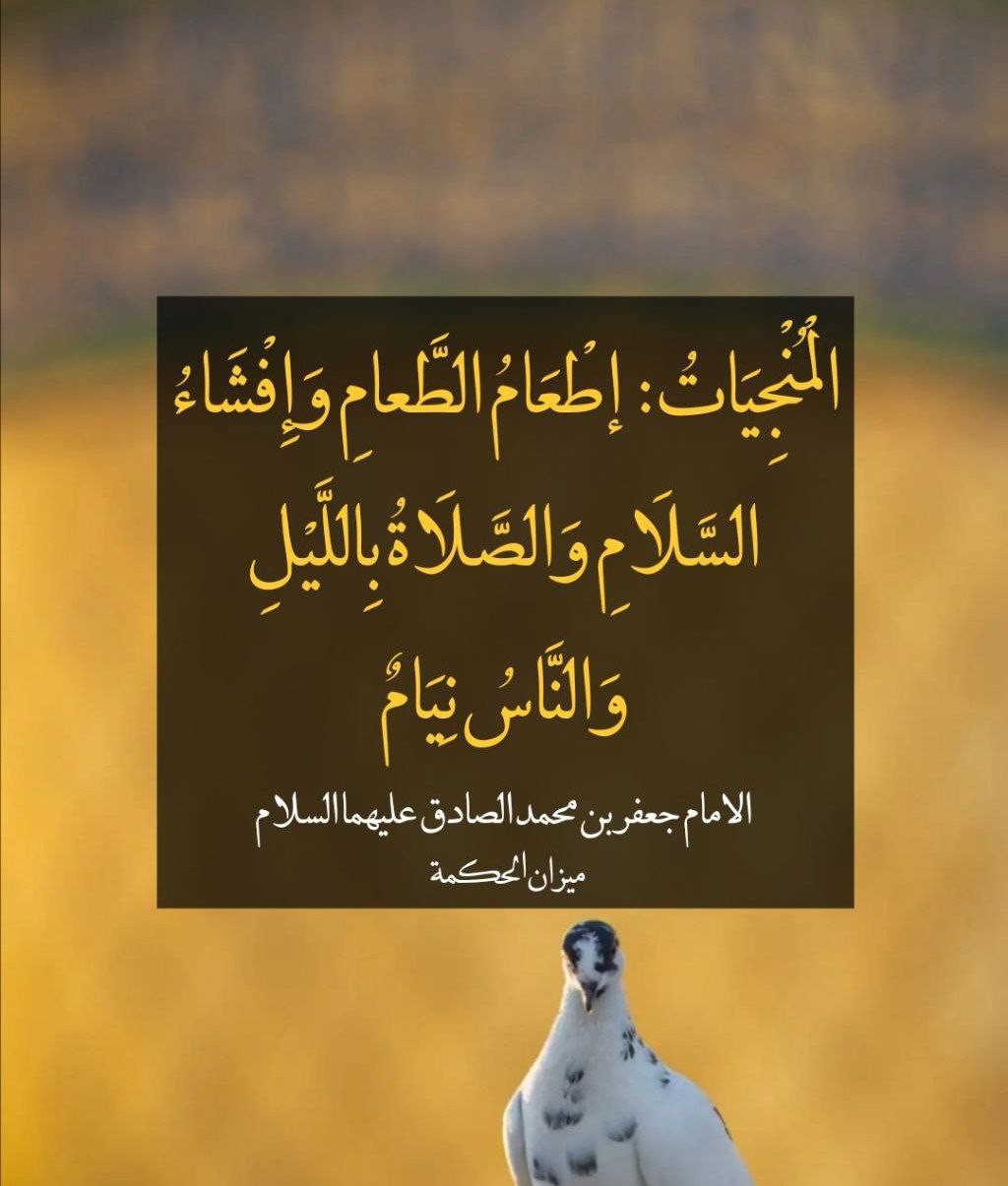 اضغط على الصورة لعرض أكبر. 

الإسم:	photo_2022-05-10_07-53-20.jpg 
مشاهدات:	254 
الحجم:	111.5 كيلوبايت 
الهوية:	946148