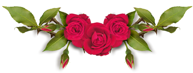 اضغط على الصورة لعرض أكبر. 

الإسم:	www.swishschool (14).png 
مشاهدات:	313 
الحجم:	151.8 كيلوبايت 
الهوية:	947301