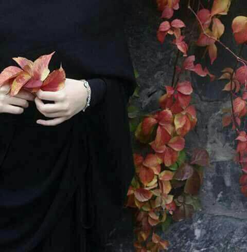 اضغط على الصورة لعرض أكبر. 

الإسم:	photo_2016-12-20_22-00-10.jpg 
مشاهدات:	6 
الحجم:	22.3 كيلوبايت 
الهوية:	860046