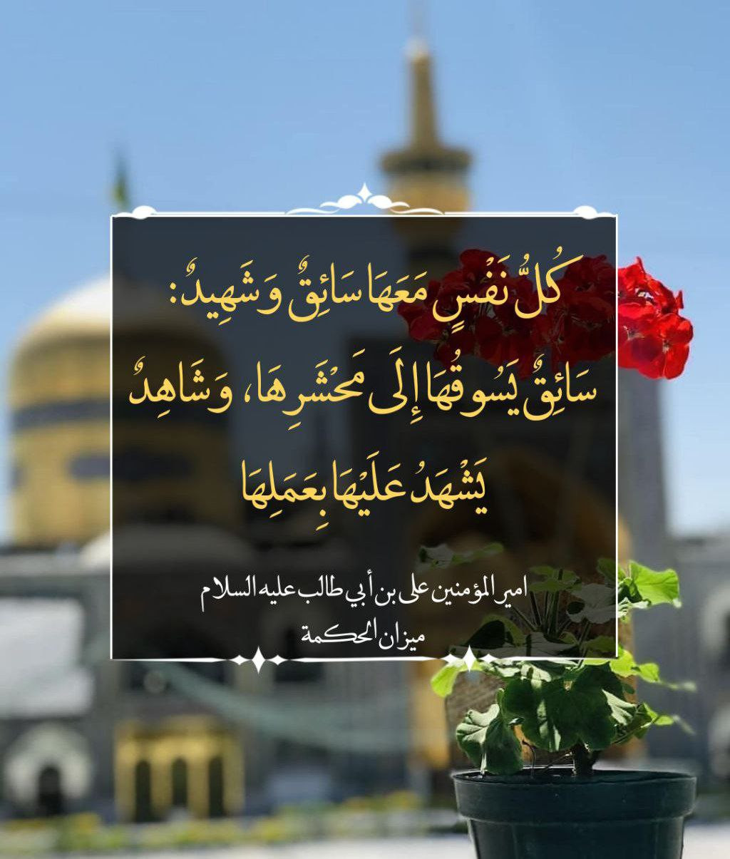 اضغط على الصورة لعرض أكبر. 

الإسم:	photo_2022-06-20_10-30-47.jpg 
مشاهدات:	221 
الحجم:	197.0 كيلوبايت 
الهوية:	949018