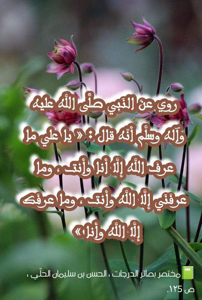 اضغط على الصورة لعرض أكبر. 

الإسم:	photo_2022-07-25_14-06-46.jpg 
مشاهدات:	366 
الحجم:	173.0 كيلوبايت 
الهوية:	951197