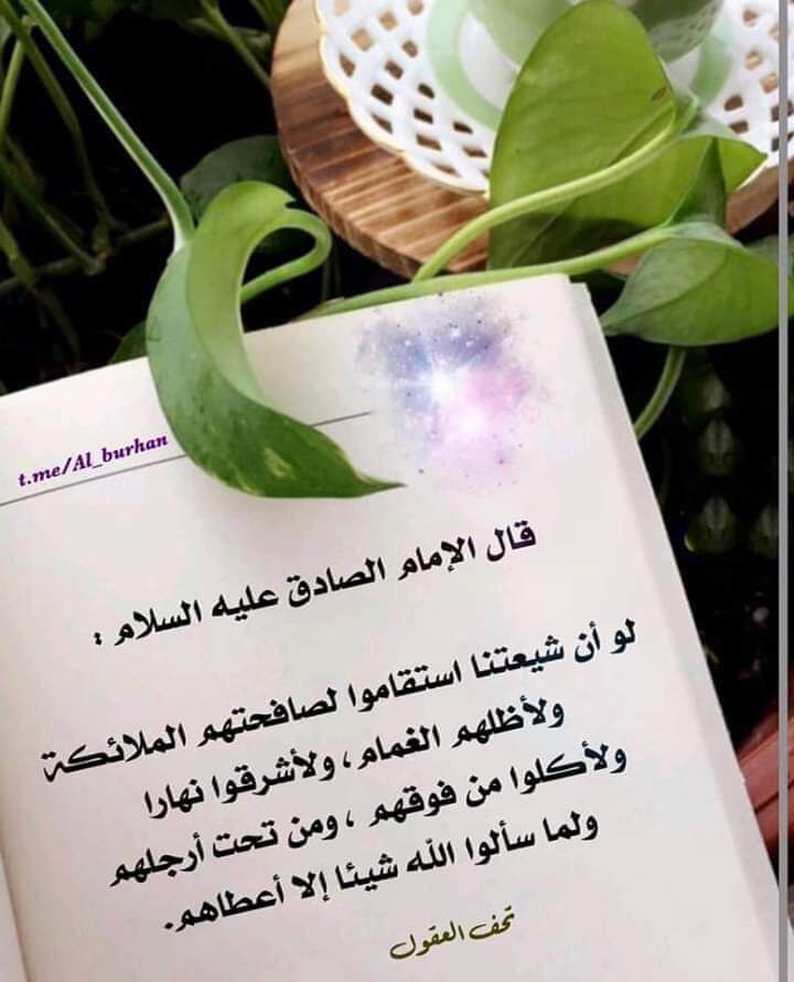 اضغط على الصورة لعرض أكبر. 

الإسم:	photo_2022-08-21_14-29-18.jpg 
مشاهدات:	649 
الحجم:	100.0 كيلوبايت 
الهوية:	952966