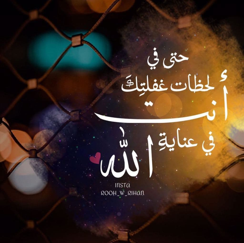 اضغط على الصورة لعرض أكبر. 

الإسم:	photo_2021-09-05_11-13-03.jpg 
مشاهدات:	924 
الحجم:	145.3 كيلوبايت 
الهوية:	955233