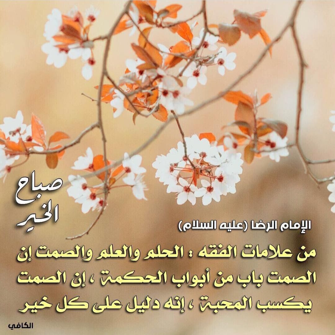 اضغط على الصورة لعرض أكبر. 

الإسم:	photo_2022-10-09_15-04-35.jpg 
مشاهدات:	222 
الحجم:	261.0 كيلوبايت 
الهوية:	955967