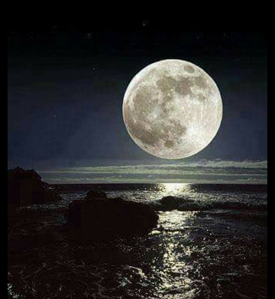 اضغط على الصورة لعرض أكبر. 

الإسم:	16472813_155432131627508_1408444464255977033_n.jpg 
مشاهدات:	2 
الحجم:	64.8 كيلوبايت 
الهوية:	863343