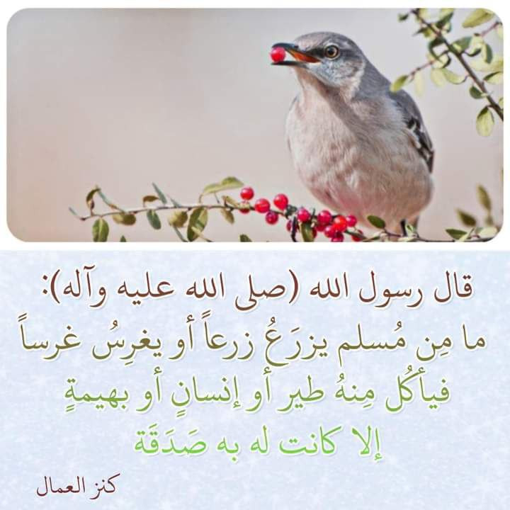 اضغط على الصورة لعرض أكبر. 

الإسم:	photo_2022-10-22_08-10-56.jpg 
مشاهدات:	202 
الحجم:	87.8 كيلوبايت 
الهوية:	956757