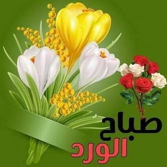 اضغط على الصورة لعرض أكبر. 

الإسم:	IMG_20221030_074622_339.jpg 
مشاهدات:	460 
الحجم:	63.4 كيلوبايت 
الهوية:	957344
