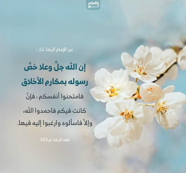 اضغط على الصورة لعرض أكبر. 

الإسم:	photo_2022-11-20_16-30-23.jpg 
مشاهدات:	255 
الحجم:	55.7 كيلوبايت 
الهوية:	959542