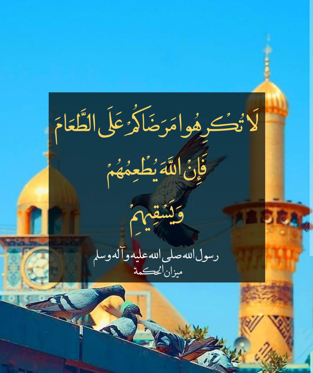 اضغط على الصورة لعرض أكبر. 

الإسم:	photo_2022-12-03_17-54-48.jpg 
مشاهدات:	189 
الحجم:	209.3 كيلوبايت 
الهوية:	961126