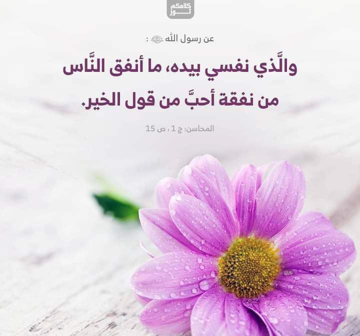 اضغط على الصورة لعرض أكبر. 

الإسم:	photo_2022-12-11_13-27-59.jpg 
مشاهدات:	224 
الحجم:	74.2 كيلوبايت 
الهوية:	961704