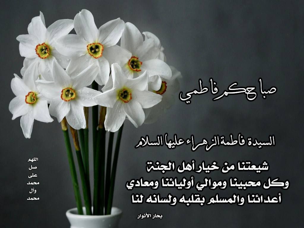 اضغط على الصورة لعرض أكبر. 

الإسم:	photo_2022-12-11_13-28-09.jpg 
مشاهدات:	497 
الحجم:	126.5 كيلوبايت 
الهوية:	961763