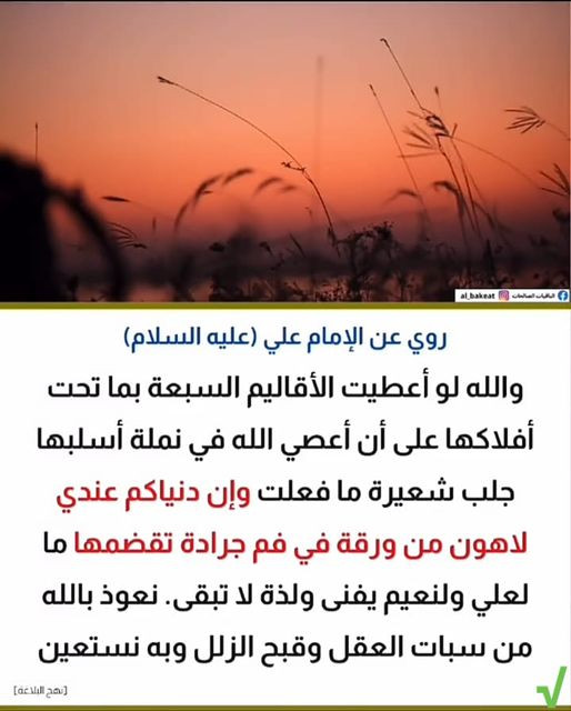 اضغط على الصورة لعرض أكبر. 

الإسم:	photo_2022-12-26_16-41-28.jpg 
مشاهدات:	380 
الحجم:	73.5 كيلوبايت 
الهوية:	963021