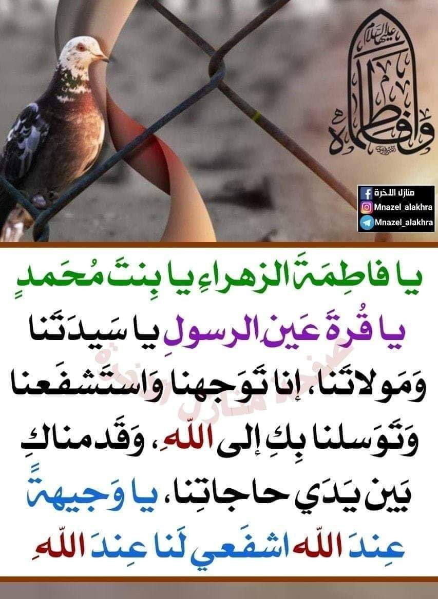 اضغط على الصورة لعرض أكبر. 

الإسم:	photo_2022-12-28_12-56-55.jpg 
مشاهدات:	291 
الحجم:	186.5 كيلوبايت 
الهوية:	963027