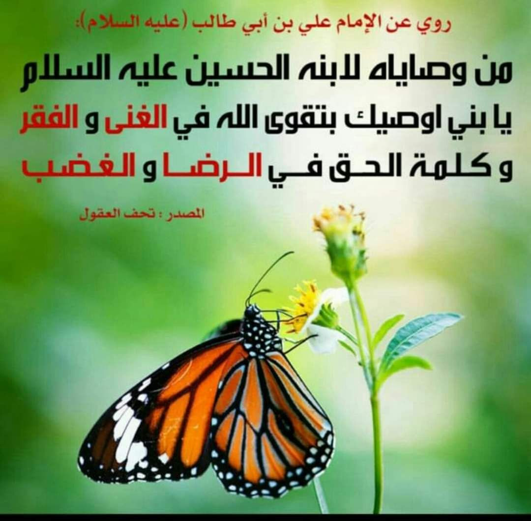 اضغط على الصورة لعرض أكبر. 

الإسم:	photo_2022-12-28_11-47-16.jpg 
مشاهدات:	150 
الحجم:	170.9 كيلوبايت 
الهوية:	963127