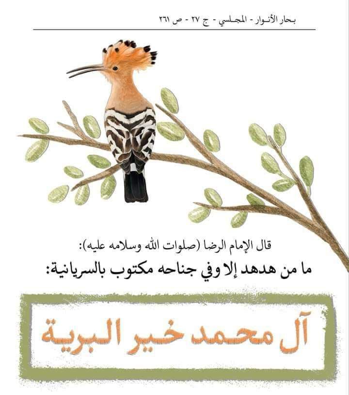اضغط على الصورة لعرض أكبر. 

الإسم:	photo_2023-01-19_13-54-14.jpg 
مشاهدات:	458 
الحجم:	90.2 كيلوبايت 
الهوية:	964638