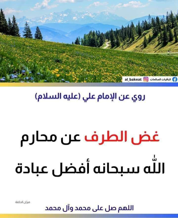 اضغط على الصورة لعرض أكبر. 

الإسم:	photo_2023-01-24_13-54-37.jpg 
مشاهدات:	161 
الحجم:	133.4 كيلوبايت 
الهوية:	965370