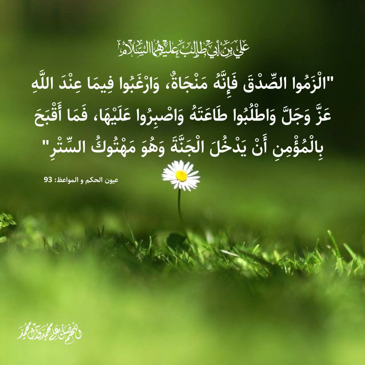 اضغط على الصورة لعرض أكبر. 

الإسم:	photo_2023-01-24_13-55-22.jpg 
مشاهدات:	266 
الحجم:	211.2 كيلوبايت 
الهوية:	965372