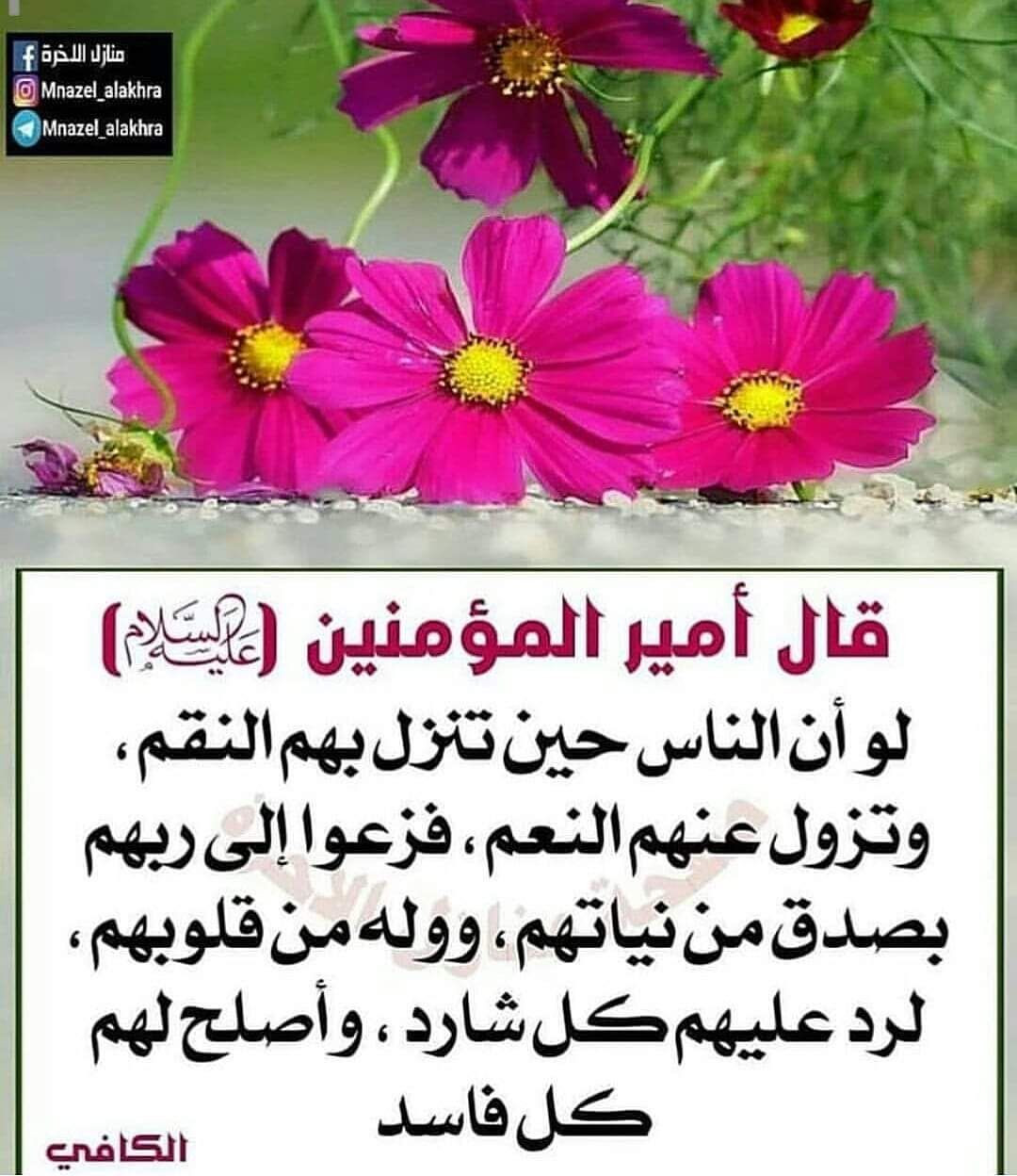اضغط على الصورة لعرض أكبر. 

الإسم:	photo_٢٠٢٣-٠١-٣١_١٥-٥٨-٣٤.jpg 
مشاهدات:	198 
الحجم:	230.9 كيلوبايت 
الهوية:	965660