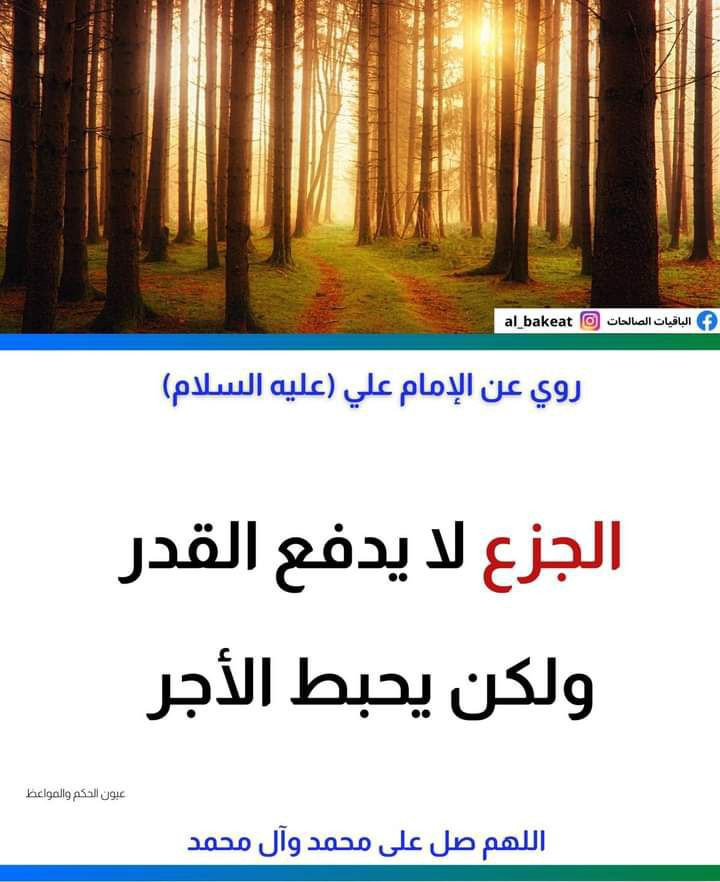 اضغط على الصورة لعرض أكبر. 

الإسم:	photo_2023-02-09_13-40-25.jpg 
مشاهدات:	190 
الحجم:	127.1 كيلوبايت 
الهوية:	966183